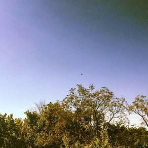 Meet your Posher, Tony